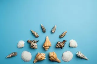 🐚 Украшения из ракушек