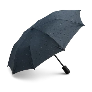Июль — Сентябрь